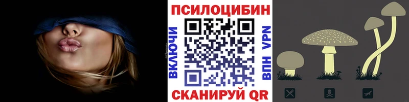 Галлюциногенные грибы MAGIC MUSHROOMS  купить наркоту  Лобня 